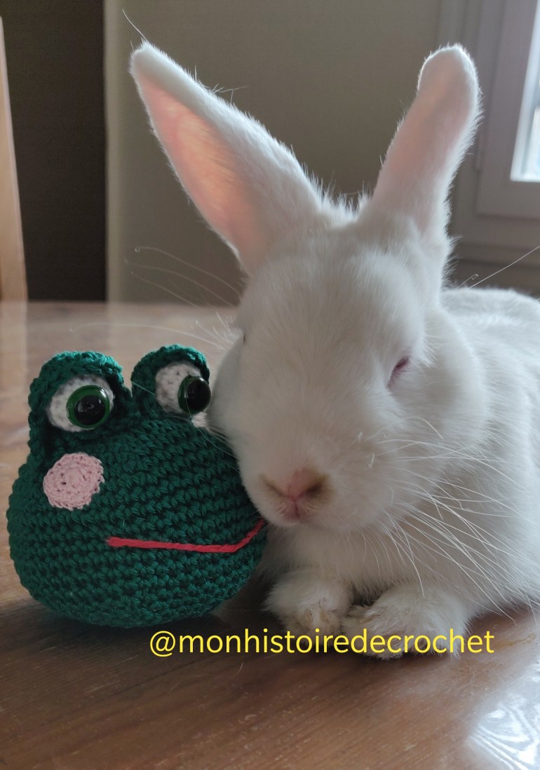 #crochet #grenouille #handmadebymonhistoiredecrochet