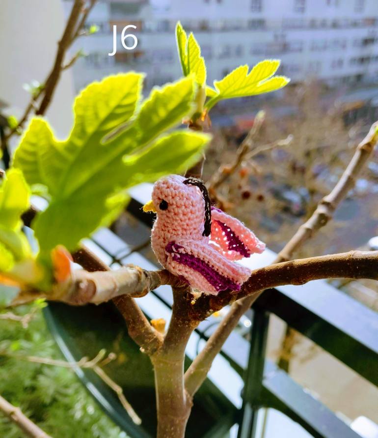 #restezchezvous #restecheztoi #oiseaux #crochet #handmadebymonhistoiredecrochet