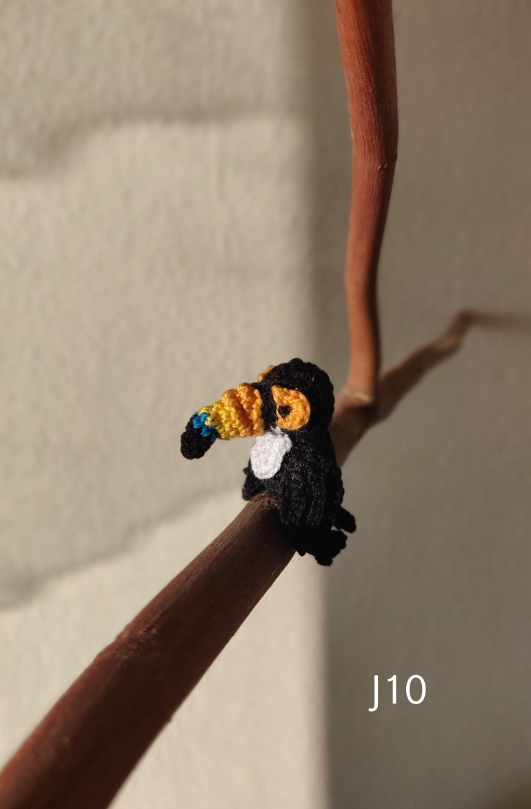 #restezchezvous #restecheztoi #toucan #